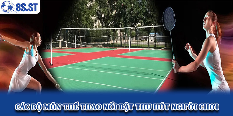 Các bộ môn thể thao nổi bật thu hút người chơi