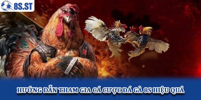 Hướng dẫn tham gia cá cược đá gà 8S hiệu quả