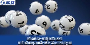 Xổ số 8S - Thế giới giải trí cá cược hấp dẫn và minh bạch