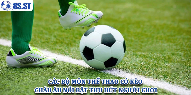 Các bộ môn thể thao có kèo châu Âu nổi bật thu hút người chơi