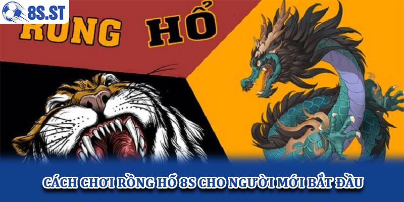 Cách chơi Rồng Hổ 8S cho người mới bắt đầu