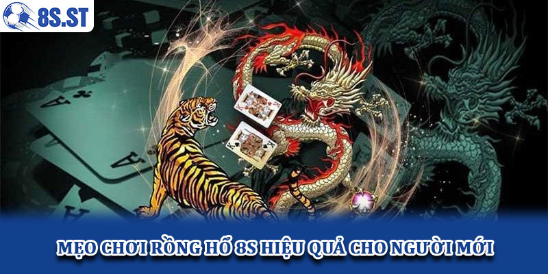 Mẹo chơi Rồng Hổ 8S hiệu quả cho người mới